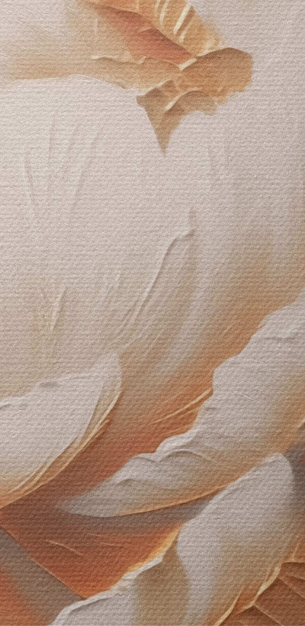 Pétales délicats aux couleurs douces Pétales délicats aux couleurs douces