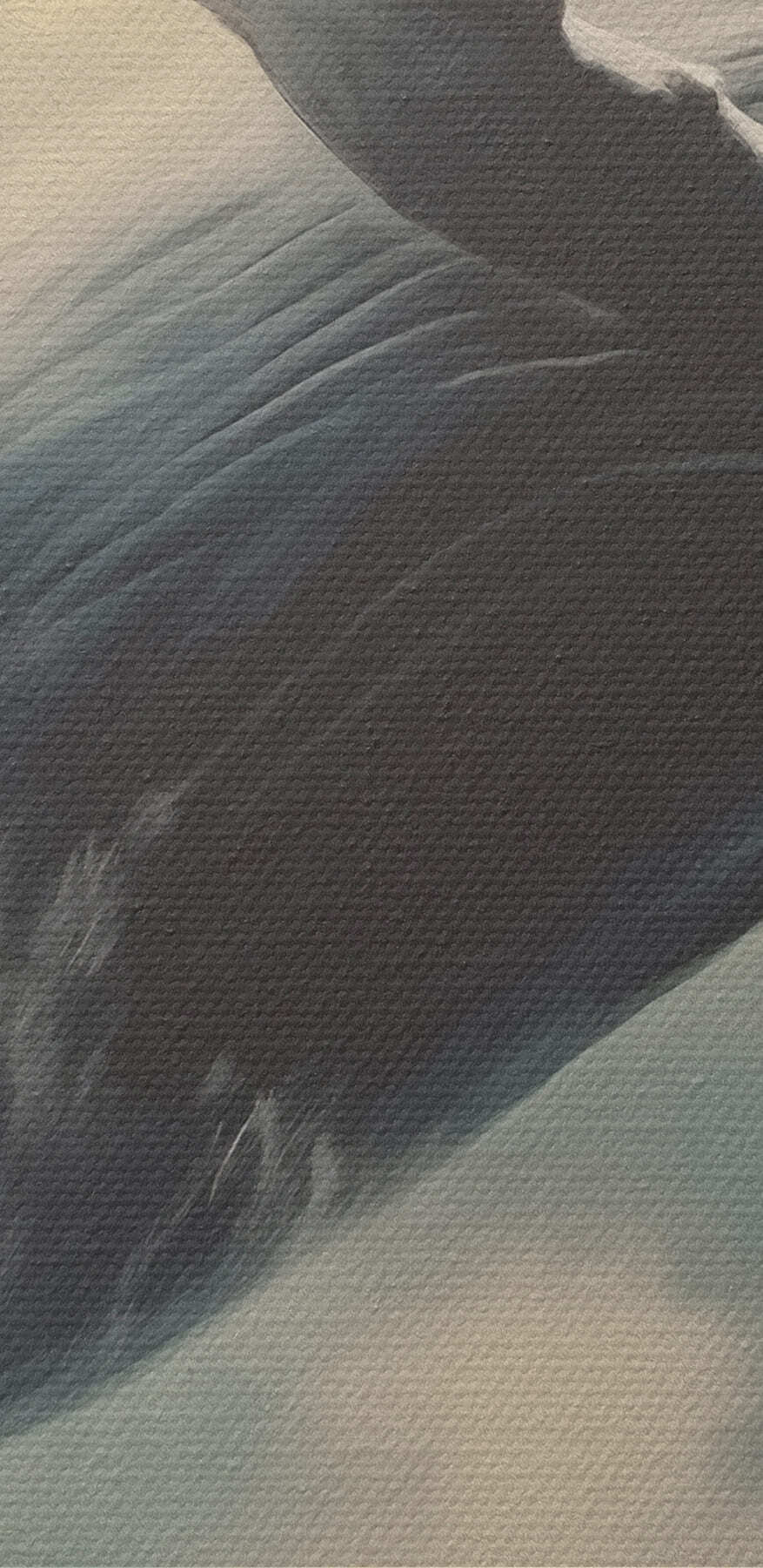 Baleine sautant hors de l'eau