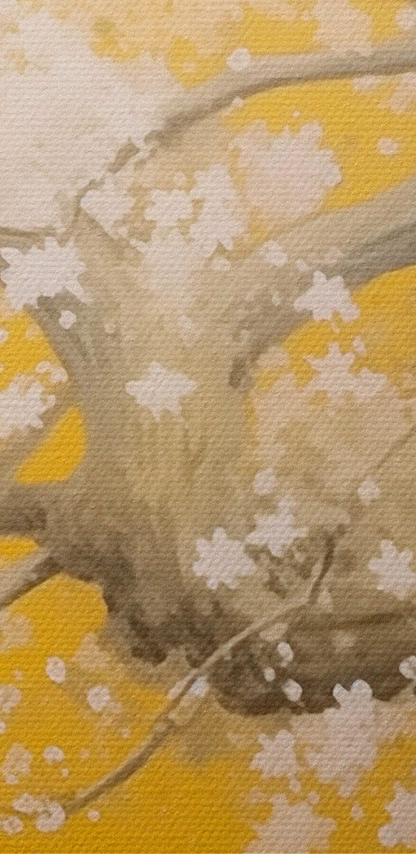 Arbre avec des fleurs blanches Arbre avec des fleurs blanches