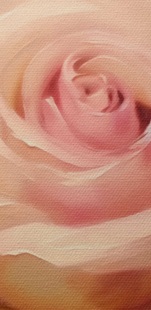 Elegant rose in soft hues