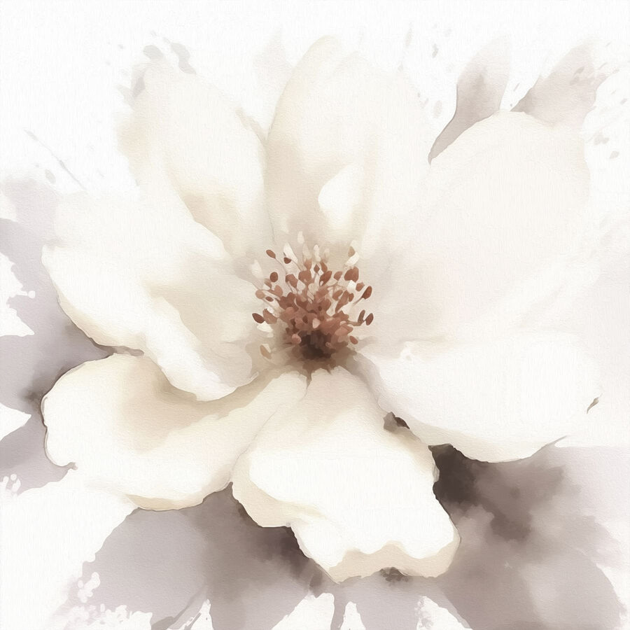 Fleur blanche avec centre brun