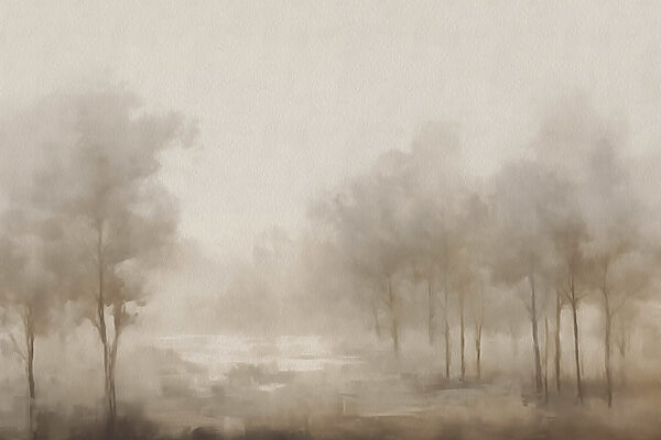Paysage brumeux avec des arbres Paysage brumeux avec des arbres