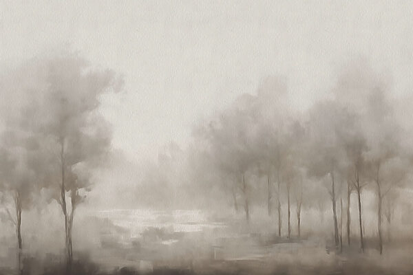 Paysage brumeux avec des arbres Paysage brumeux avec des arbres