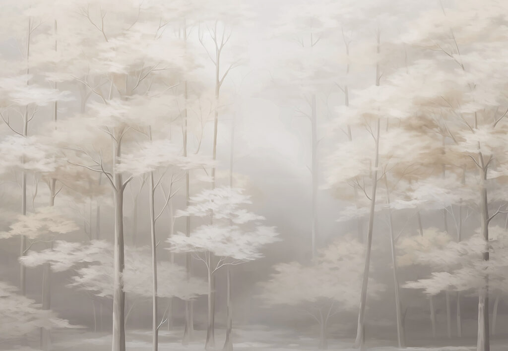 Forêt brumeuse avec des arbres Forêt brumeuse avec des arbres