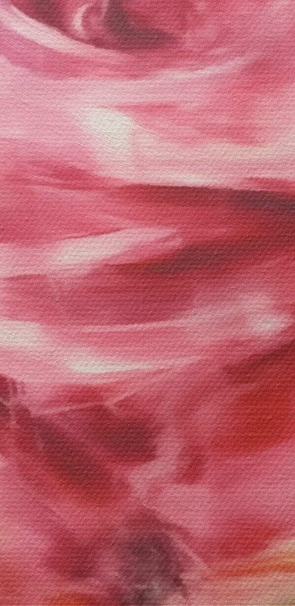 Peinture d'une rose rose Peinture d'une rose rose