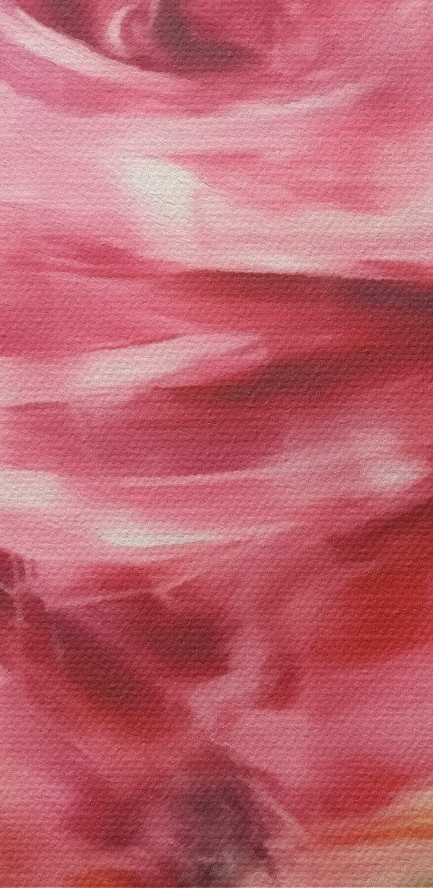 Peinture d'une rose rose Peinture d'une rose rose