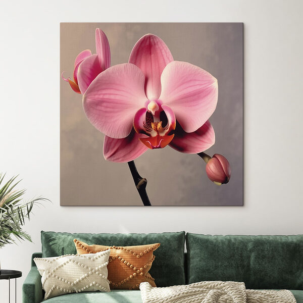 Orchidée rose délicate en pleine floraison Orchidée rose délicate en pleine floraison