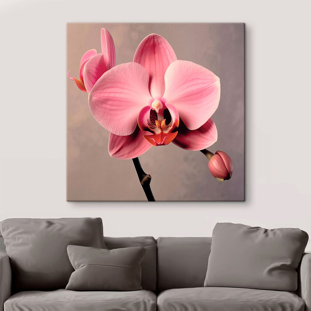 Delicate pink orchid in full bloom