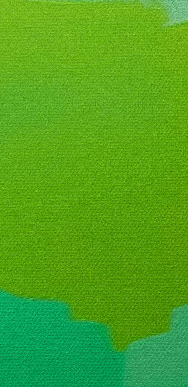 Perroquet vert aux yeux jaunes Perroquet vert aux yeux jaunes