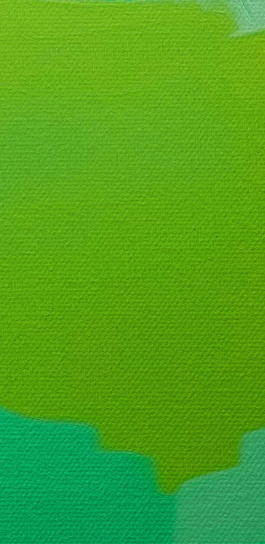 Perroquet vert aux yeux jaunes
