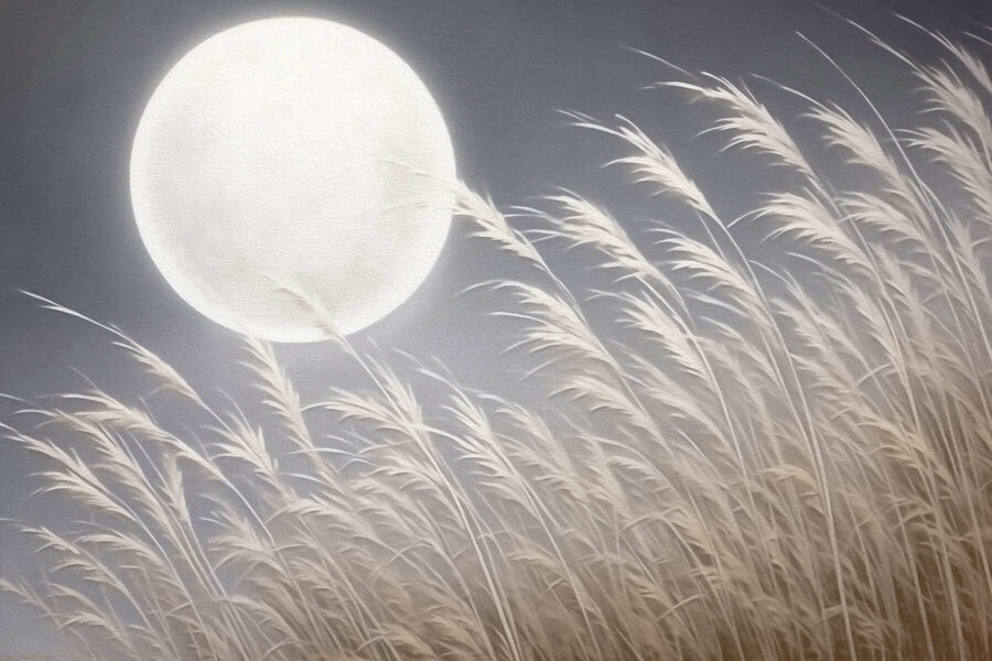 La lune dans le ciel