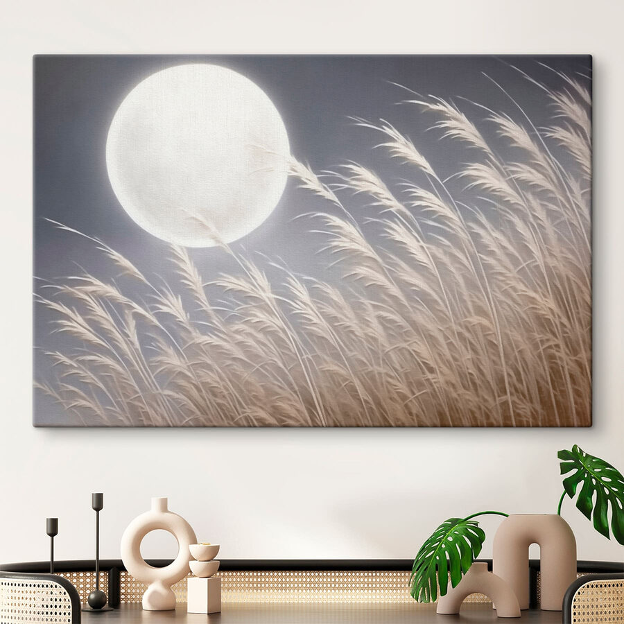 La lune dans le ciel