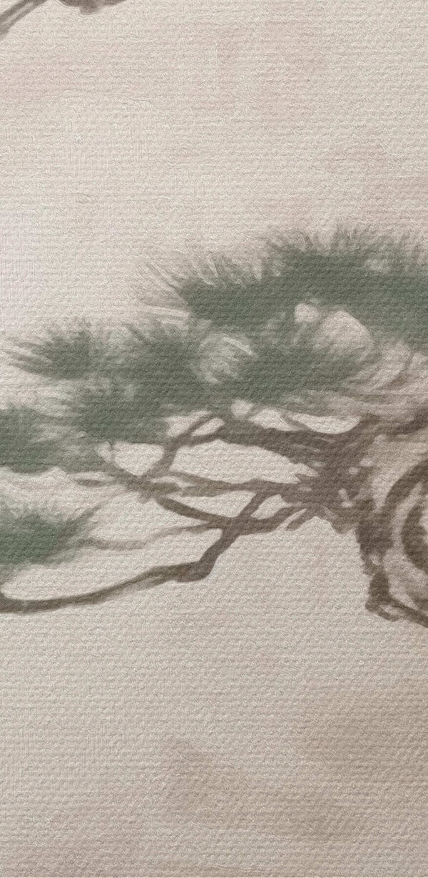 Arbre sur un rocher Arbre sur un rocher