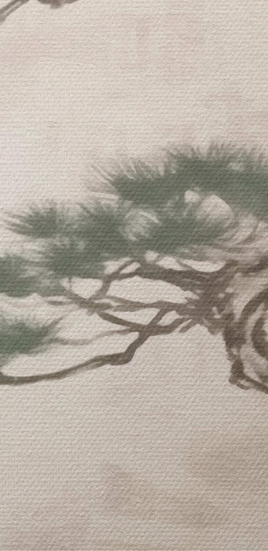 Arbre sur un rocher