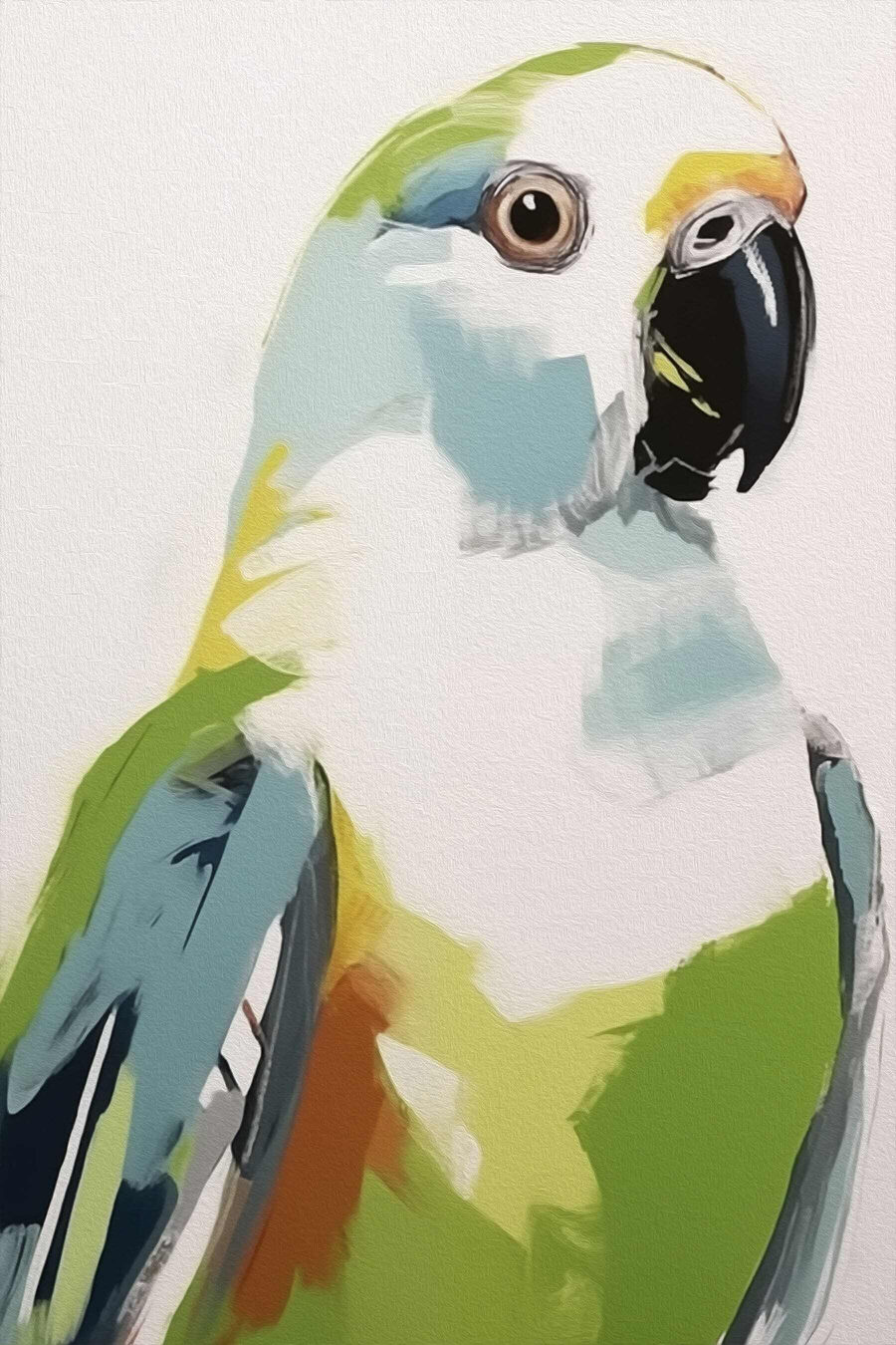 Oiseau coloré au bec noir
