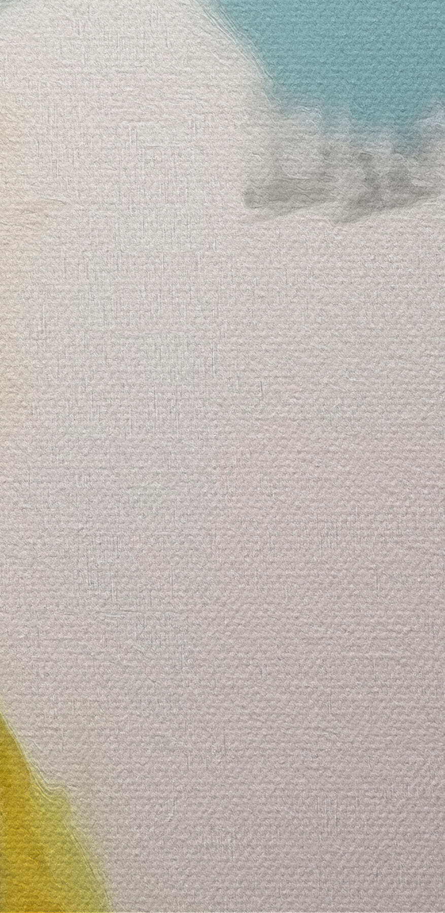 Oiseau coloré au bec noir