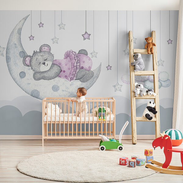 Ourson dormant sur la lune Ourson dormant sur la lune
