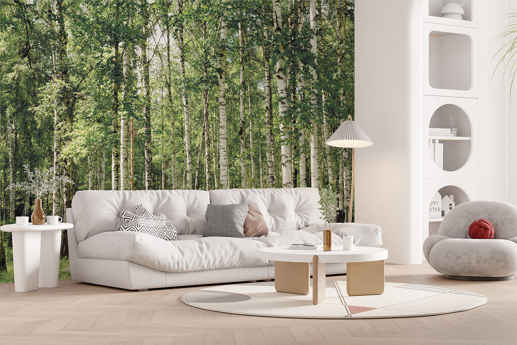 Group of trees in a forest Group of trees in a forest