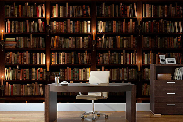 Grande bibliothèque remplie de livres Grande bibliothèque remplie de livres