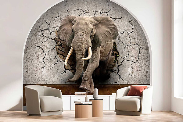 Un éléphant traversant un mur Un éléphant traversant un mur