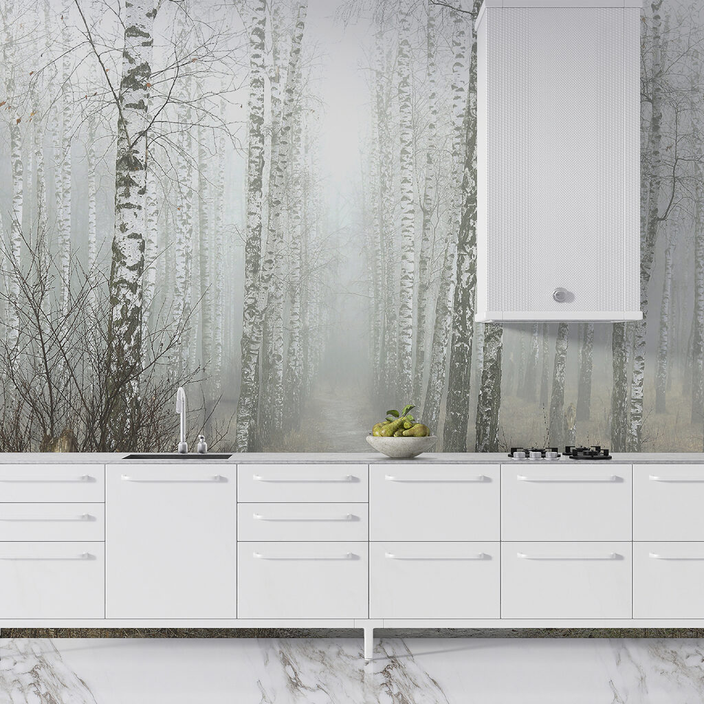 Path through a forest Path through a forest