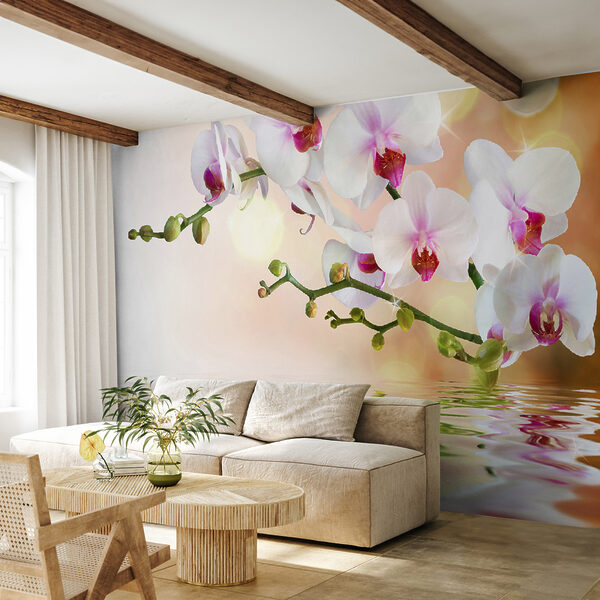 Orchidées blanches sur une branche avec des ondulations d'eau Orchidées blanches sur une branche avec des ondulations d'eau