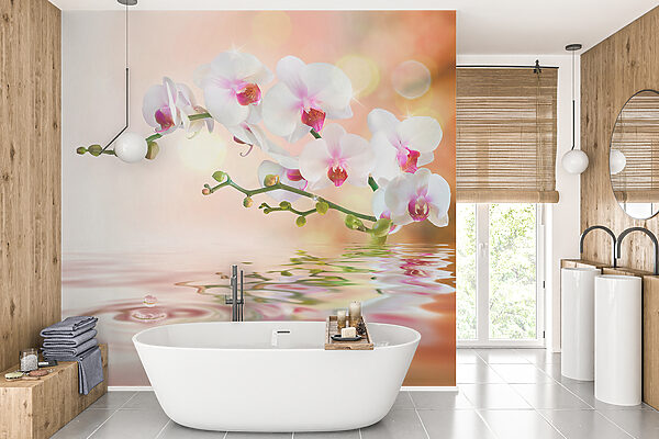 Orchidées blanches sur une branche avec des ondulations d'eau Orchidées blanches sur une branche avec des ondulations d'eau