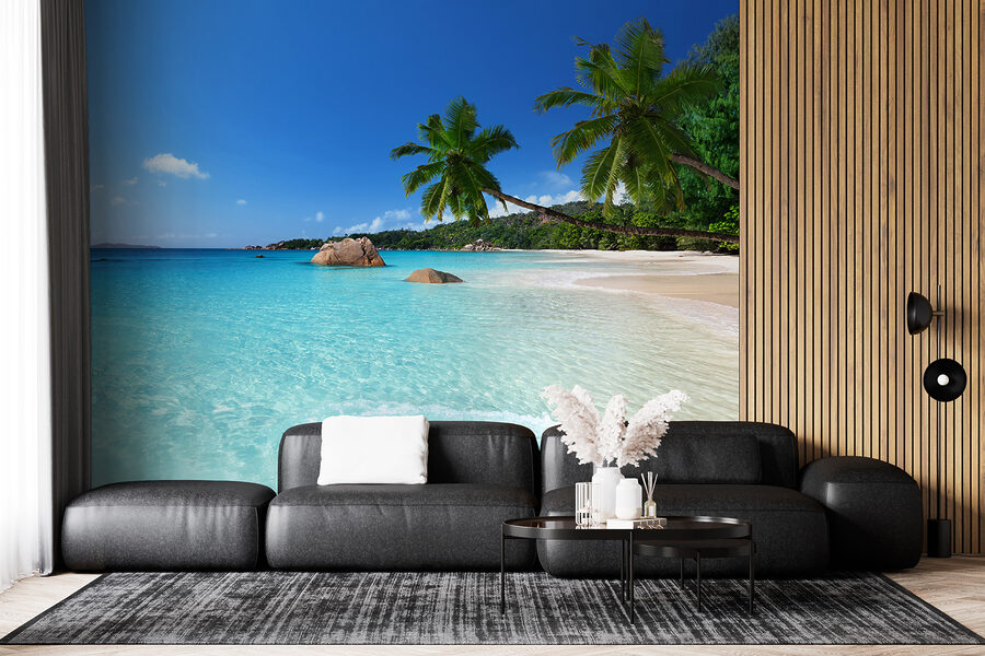 Plage avec palmiers et eau bleue