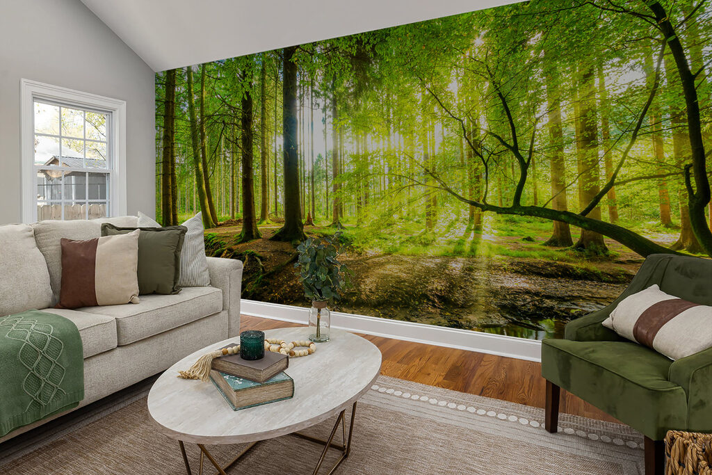 Stream in a forest Stream in a forest