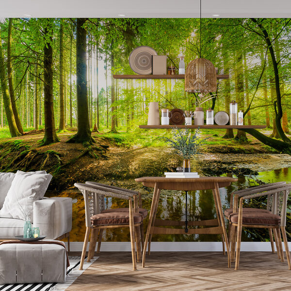 Ruisseau dans une forêt Ruisseau dans une forêt