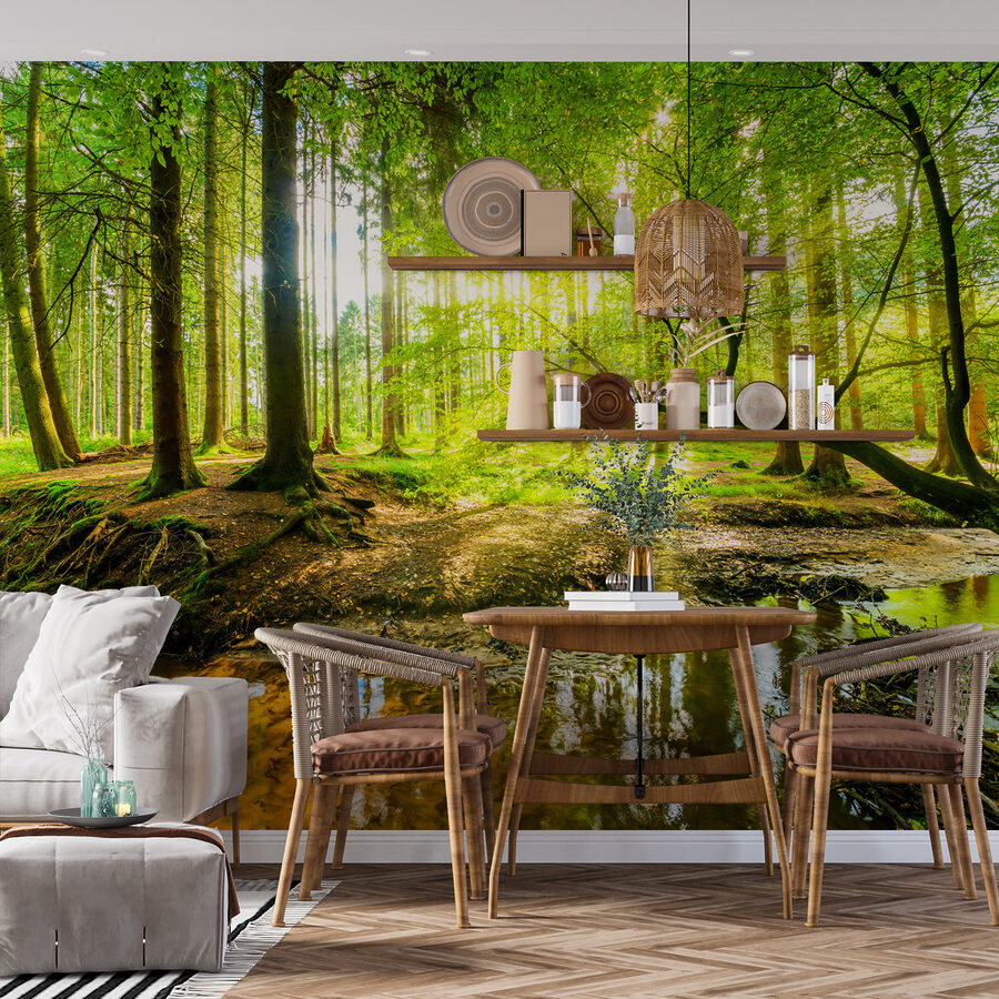 Ruisseau dans une forêt Ruisseau dans une forêt