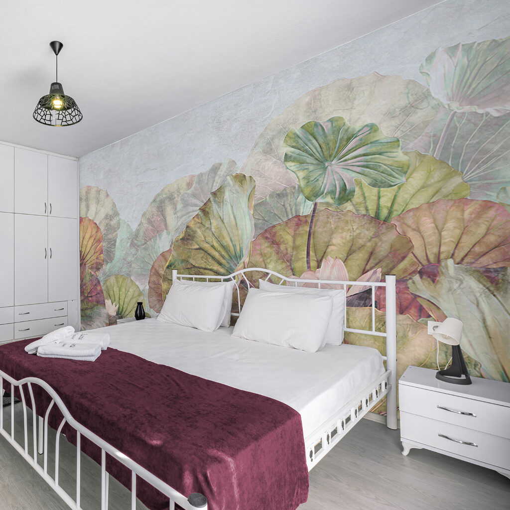 Delicate water lily leaves and blossoms Delicate water lily leaves and blossoms