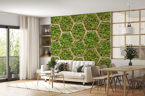 Mur de plantes en hexagones Mur de plantes en hexagones