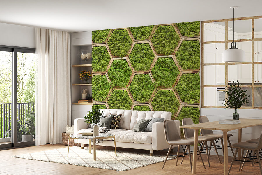 Mur de plantes en hexagones Mur de plantes en hexagones