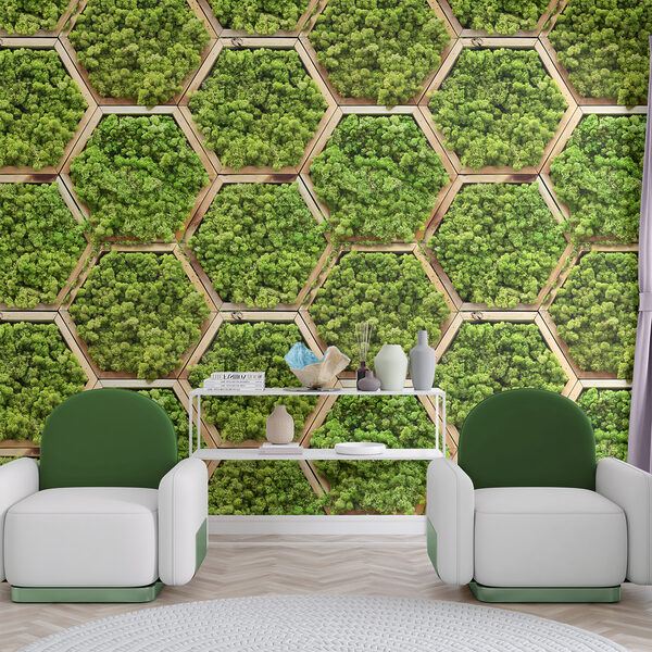 Mur de plantes en hexagones Mur de plantes en hexagones