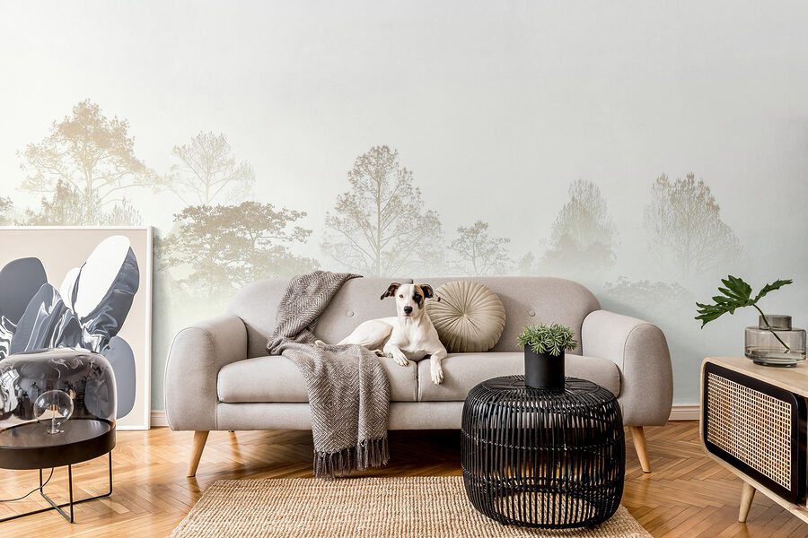 Arbres dans le brouillard