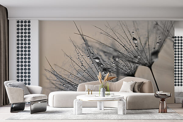 Delicate droplets on fragile petals Delicate droplets on fragile petals