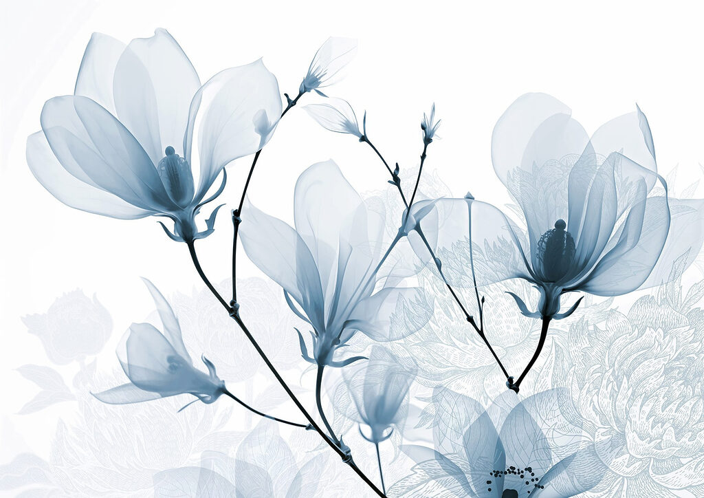 Des fleurs délicates aux teintes douces Des fleurs délicates aux teintes douces