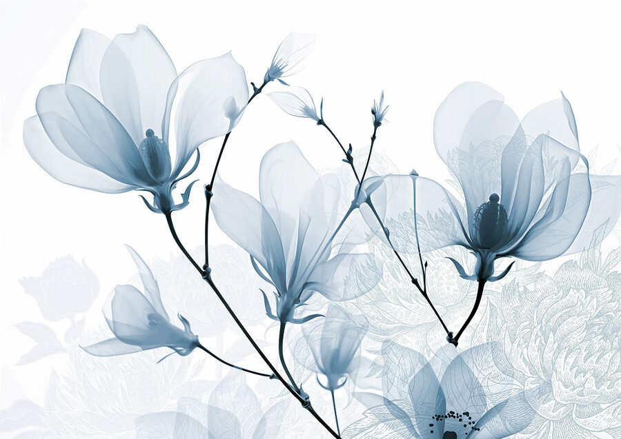 Des fleurs délicates aux teintes douces
