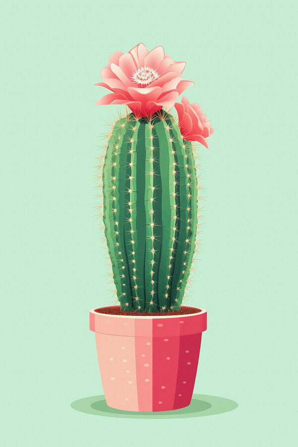 Cactus avec une fleur Cactus avec une fleur