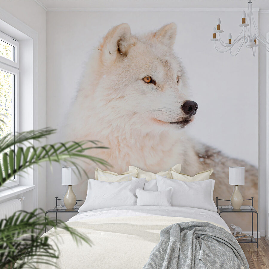 Papier peint Un loup blanc dans la neige – Image 4