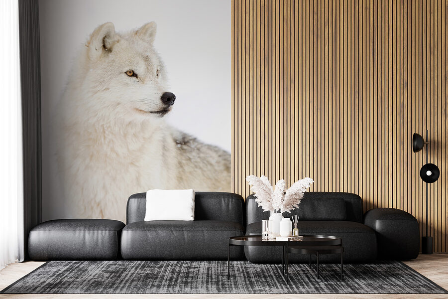 Papier peint Un loup blanc dans la neige – Image 5