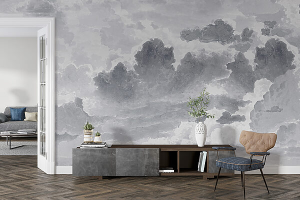 Un ciel gris et blanc Un ciel gris et blanc