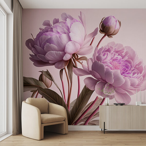 Élégantes pivoines roses à la floraison douce. Élégantes pivoines roses à la floraison douce.