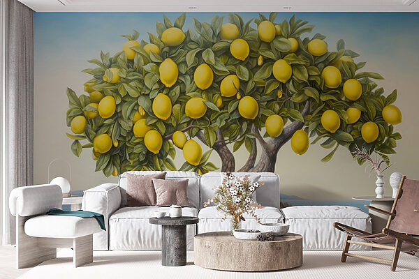 Un citronnier avec des fruits Un citronnier avec des fruits