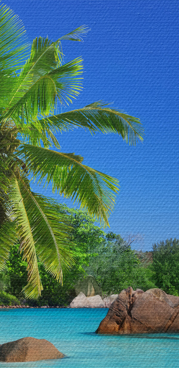 Une plage avec des palmiers et de l'eau bleue Une plage avec des palmiers et de l'eau bleue