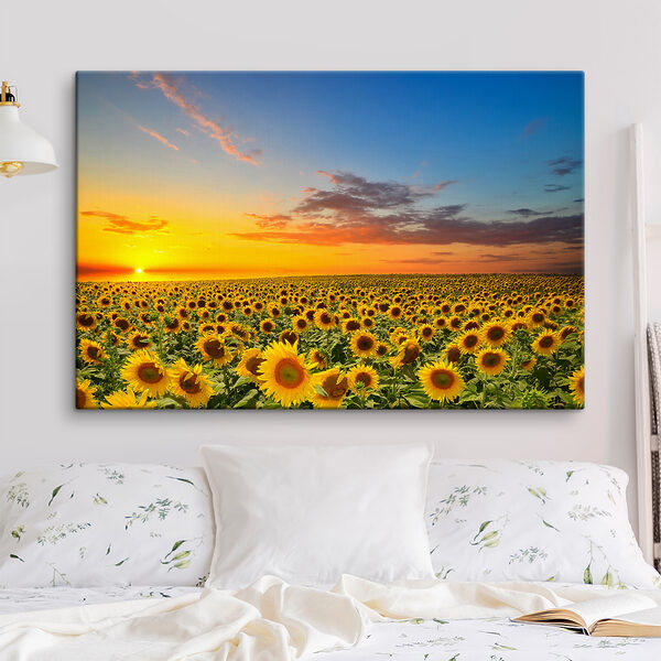 Champ de tournesols au coucher du soleil Champ de tournesols au coucher du soleil