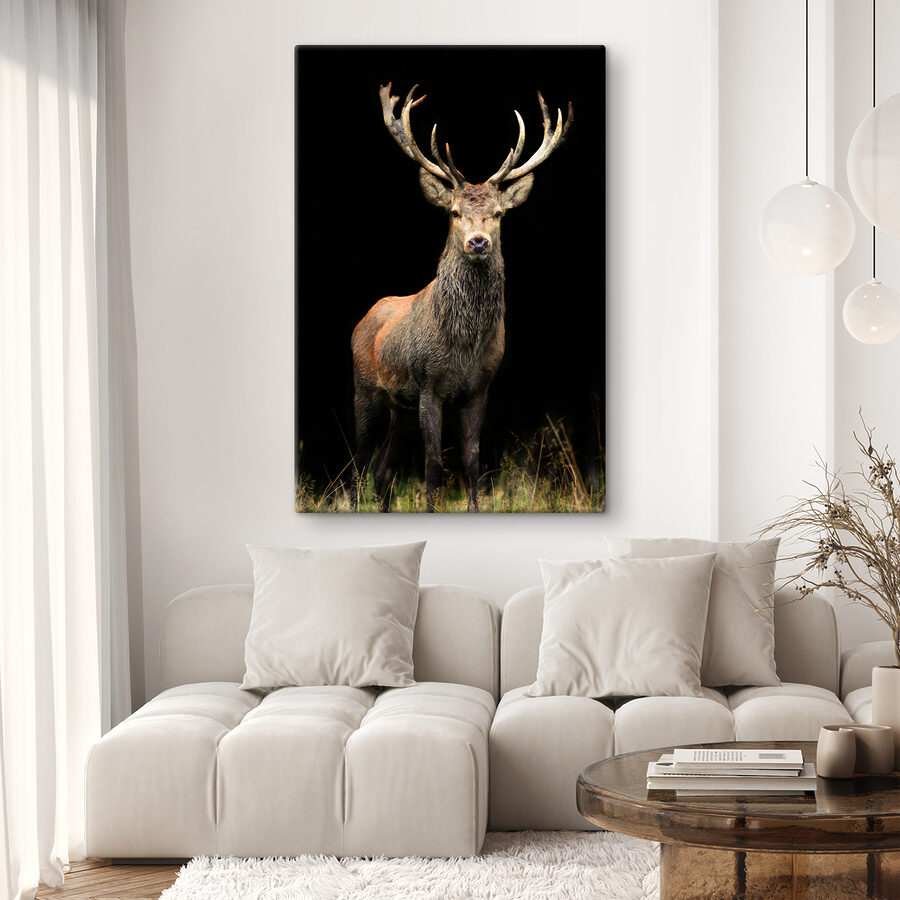 Un cerf avec des bois dans l'obscurité