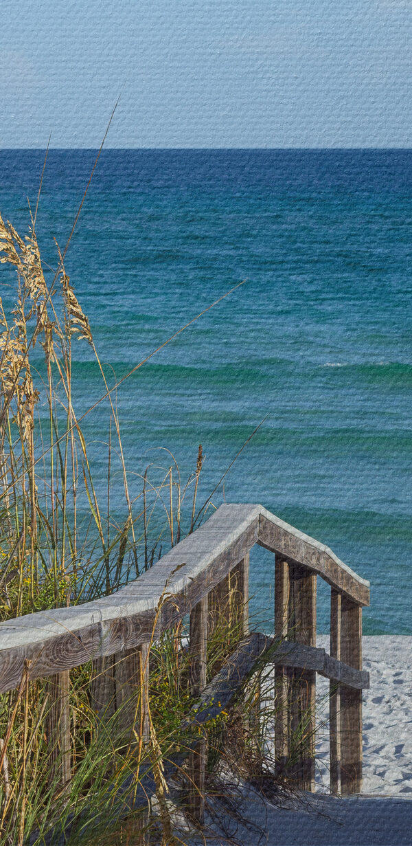 Une allée menant à la plage Une allée menant à la plage