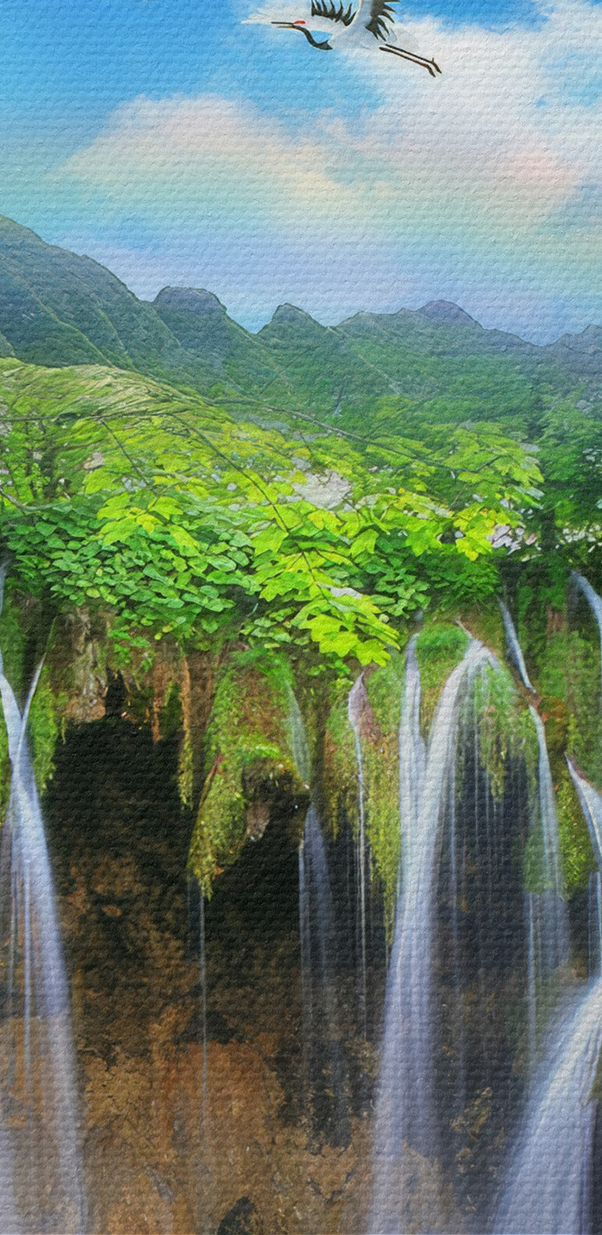 Une chute d'eau avec des oiseaux qui la survolent Une chute d'eau avec des oiseaux qui la survolent